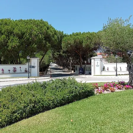 Del Rey * Amoreira (Leiria)